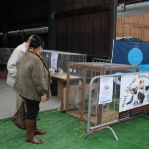 Vitrine à Melreux