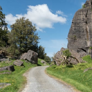 Hairy Feet: Lieu de tournage du film "Le Hobbit"