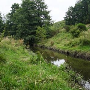  ruisseau de Longlier