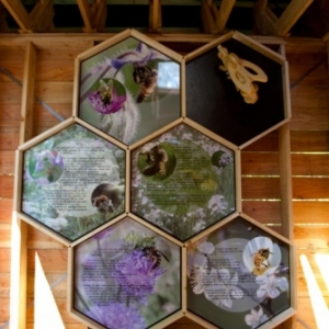 nouveaute : ruche geante artistique nouveaute : ruche geante artistique