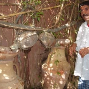 tiout - oasis - mohamed