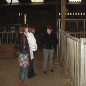 la ferme de comogne - focant