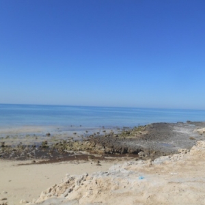 sidi jmour - cote occidentale