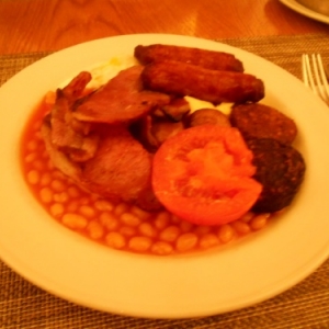 hotel riu plaza the gresham dublin