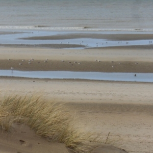 De Haan-aan-Zee, le Coq, un autre visage de la côte belge De Haan-aan-Zee, le Coq, un autre visage de la côte belge