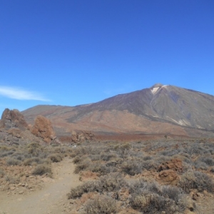 Tenerife, l'île au printemps éternel