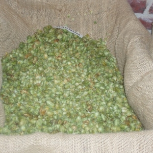 hopmuseum poperinge - musee du houblon