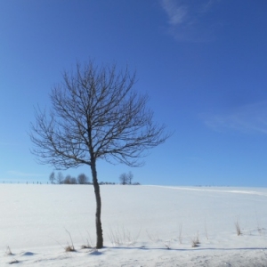Bourscheid et Vianden : sur les pas de Victor Hugo