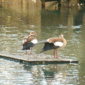 moulin de beckerich moulin de beckerich