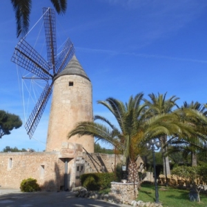 porto cristo - moli den sopa - 5km vers manacor