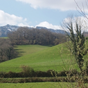 Saint-Jean-de-Luz, perle du Pays basque