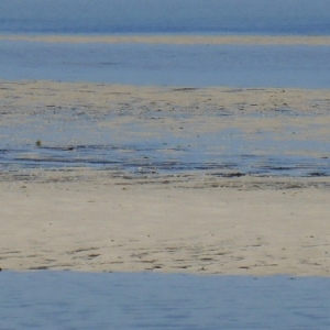 sidi jmour - cote occidentale
