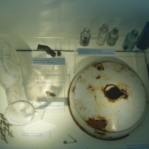 lijssenthoek military cemetery