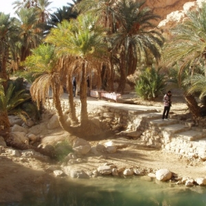 oasis de montagne - chebika