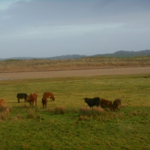 route cotiere baie de galway