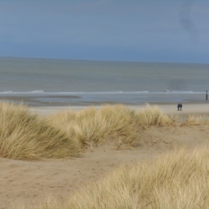 De Haan-aan-Zee, le Coq, un autre visage de la côte belge De Haan-aan-Zee, le Coq, un autre visage de la côte belge