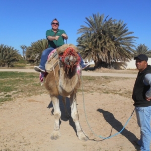 balade caleche ou dromadaire