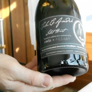 restaurant u zlate studne