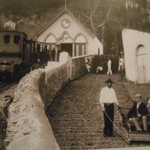 descente en traineau - monte