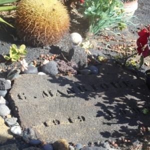 cimetiere de haria ou repose cesar manrique