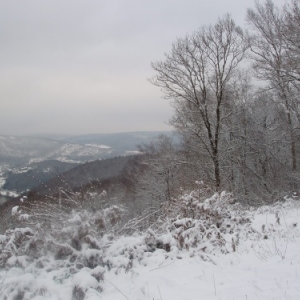 A la découverte du patrimoine naturel, culturel et gastronomique des Ardennes françaises