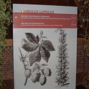 hopmuseum poperinge - musee du houblon