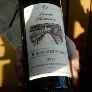 restaurant u zlate studne