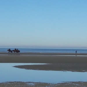 Sur les pas de Paul Delvaux