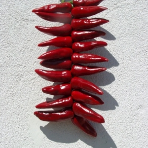 espelette atelier du piment