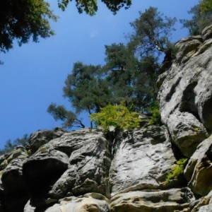 route de berdorf a echternach