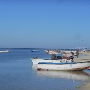 balade caleche vers le lac sale