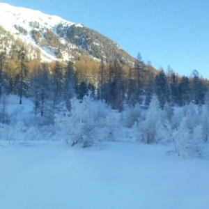 Le Glacier Express, le train rapide le plus lent du monde