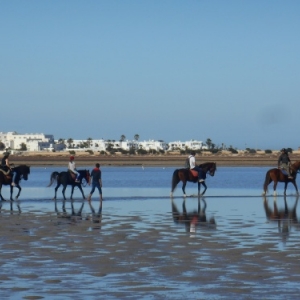 lac sale djerba