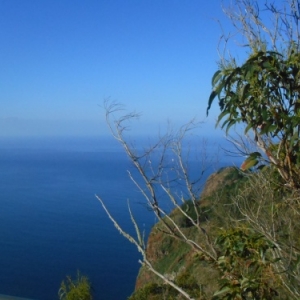 cabo girao - la plus haute falaise d europe