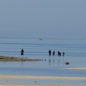 sidi jmour - cote occidentale