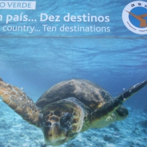 L'ile de Sal, no stress...c'est le Cap Vert! L'ile de Sal, no stress...c'est le Cap Vert!