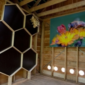 nouveaute : ruche artistique