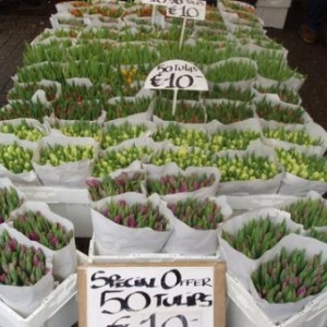 marche aux fleurs amsterdam