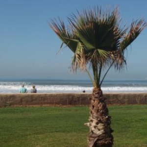 agadir plage riu tikida dunas