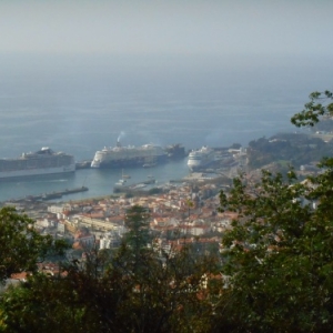 vue sur le port de funchal