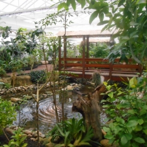 jardin des papillons