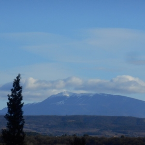 La Drôme : le pays de l'olivier, de la lavande, de la vigne et de la truffe