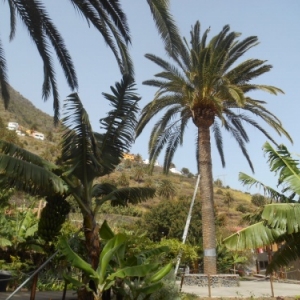 La Gomera, l'autre monde des Canaries