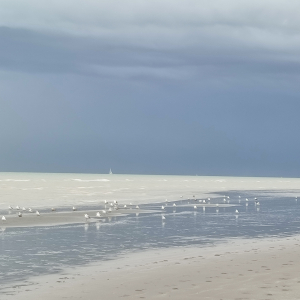 Oostduinkerke - octobre 2021