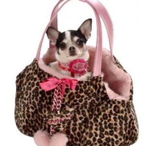 Plus beau qu'un simple sac pour chien 