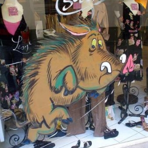 vitrine, peinture, festival, BD, bande, dessinee, mantes la jolie, jean-marie lesage, olympus u 760,