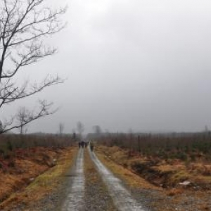 La marche "In the footsteps of the 82nd Airborne Division" à Goronne