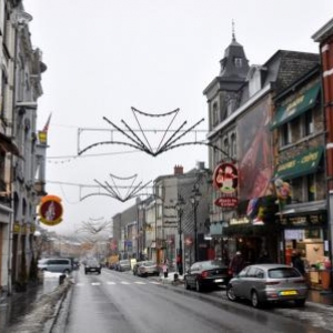 Commémoration de la Bataille des Ardennes, 11 et 12 décembre 2010