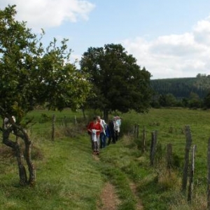 le chemin se fait sentier: gare aux fils d'arca!