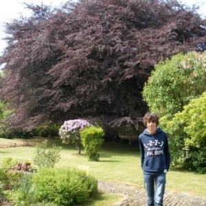 Arthur, le guide bleu qui chaque automne ramasse les feuilles mortes...